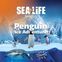 ราคา E Ticket บัตรซีไลฟ์ พารากอน Sea Life Ocean World Bangkok Sealife ซีไลฟ์ (12491057753)