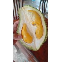 ราคา ทุเรียนพวงมณี 4 กิโล พร้อมส่ง เนื้อสวย (21669637613)