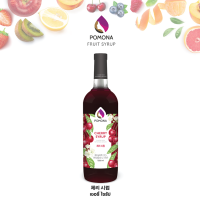 ราคา Pomona Cherry Syrup ไซรัป เชอรี่ 1000 ml ไซรัปพรีเมียม ผลิตจากประเทศเกาหลี (2957046301)