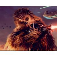 ราคา แปรงสีฟันไฟฟ้าOral B พร้อมส่ง แปรงสีฟันสำหรับเด็ก แปรงสีฟันไฟฟ้า นำเข้าจากUSA ของแท้ แปรงสีฟันไฟฟ้าสำหรับเด็ก (16143984624)