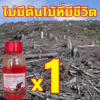 ราคา ต้นไม้ใหญ่ตายเร็ว รุ่นเข้มข้น 200ml ยาฆ่าต้นไม้ ยากำจัดต้นไม้ ยากำจัดต้นไม้ใหญ่ สารกำจัดตอไม้ ยาฆ่าตอไม้ ยาฆ่าไม้ไผ่ เหมาะสำหรับกำจัดวัชพืช ต้นไม้ และไผ่ทุกชนิด ผลติดทนนาน (21630644698)