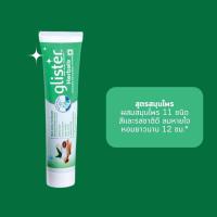 ราคา Glister Amway รสมิ้นท์ รสชาขาว สูตรสมุนไพร ย่าสีฟันแอมเวย์ ของแท้ (21265363094)