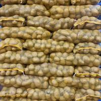 ราคา มันฝรั่ง มันฝรั่งสด 10kg มันฝรั่งเบอร์B สดใหม่ สินค้านำเข้าจากต่างประเทศ (20912269367)