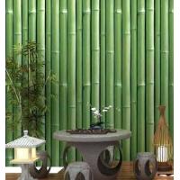 ราคา Wallpaper Sticker วอลเปเปอร์ผนัง สติ๊กเกอร์ผนัง แบบมีกาวในตัว ลายต้นไผ่มงคล แบบใหม่ มีใบไผ่ ขนาด 45 ซม X 10 เมตร แถมฟรีแผ่นรีด (5075544664)