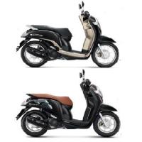 ราคา แท้100 บังโคลน หน้า Scoopy i ปี 2017 เบิกศูนย์ HONDA ชุดสีสกูปปี้ ชุดสีscoopy เฟรมรถ เปลือกรถ บังโคลนหน้า H066 (7555678588)