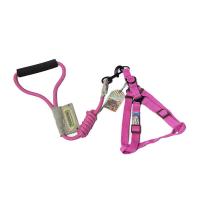 ราคา Touchdog พร้อมส่งจากกทม สายจูงสัตว์เลี้ยง สายจูงน้องหมา ปลอกคอแมว สายจูงแมว สายจูงน้องแมว พร้อมส่ง dog pet leashes สุนัขขนาดกลางและขนาดเล็ก (20766464494)