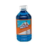 ราคา ส่งด่วน มิสเตอร์มัสเซิล น้ำยาทำความสะอาดกระจก 5 ลิตร Mr Muscle Glass Cleaner Windex 5L สินค้าราคาถูก พร้อมเก็บเงินปลายทาง (14283181459)