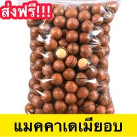 ราคา จัดโปร แมคคาเดเมีย 500 กรัม แมคคาเดเมีย แม็คคาเดเมีย Macadamia แมคคาเดเมียอบเนย ถั่วเเมคคาเดเมีย แมคคาเดเมียอบธรรมชาติ ถั่วแมคคาเดเมีย ถั่ว ถั่วแม็คคาเดเมีย ราชาแห่งถั่ว ถั่วอบแห้ง หอม กรอบอบธรรมชาติ