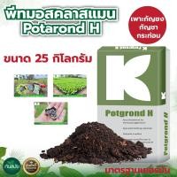 ราคา ดินปลูก ดินเพาะ พีทมอส แคคตัส นำเข้าจากเยอรมันแท้100 ยี่ห้อคลาสแมน พีทมอสคลาสแมน กระสอบ70 ลิตร 25 กิโลกรัม นำเข้าจากเยอรมันนี สินค้าคุณภาพ เกรดพรีเมี่ยม พีทมอส คลาสแมน แคคตัส (21560066709)