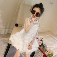 ราคา LOBER ชุดเดรสเด็กผู้หญิง ชุดเดรสผ้าชีฟองเด็ก ชุดเดรสขนนก ชุดเจ้าหญิง ชุดเจ้าหญิงเด็ก ชุดราตรีเด็ก ชุดเดรส เด็ก โต ชุดเด็กหญิง1 10ปี (21441825749)