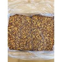 ราคา ดักแด้ ตัวไหมแช่แข็ง ดักแด้แช่แข็ง ตัวอวบ หอม อร่อย สินค้าขายดี ราคา ถูก ส่ง (20991057583)