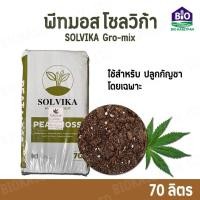 ราคา Peatmoss Solvika Gro mix 70Lพีทมอส โซลวิก้า โกว มิกซ์ 70 ลิตร ใช้สำหรับ งานปลูกสมุนไพรกัญชาโดยเฉพาะ (21527269299)