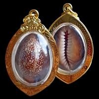 ราคา K004 เบี้ยแก้ หลวงปู่บุญ วัดกลางบางแก้ว จ นครปฐม ขนาด 2 5X4 5 ซม กรอบพระ ทองไมครอน (21313241884)