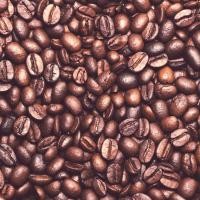 ราคา เมล็ดกาแฟสด Espresso coffee คั่วเข้ม 100 Arabica Dark Roast 250 กรัม ส่งฟรี (11777128010)
