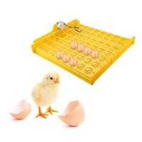 ราคา ตู้ฟักไข่ถูกๆ 56 ฟอง ตู้ฝักไข่ เครื่องฟักไข่ ฟักไข่ไก่ นก เครื่องฟักไข่อัตโนมัติ ตู้ฟักไข่ไก่ เป็ด ห่าน นก ตู้ฟักไข่อัตโนมัติ ตู้ฝักไข่ (20576439812)