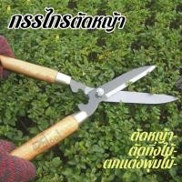 ราคา 426TOOL กรรไกรตัดหญ้า ตัดแต่งพุ่มไม้ ตัดกิ่งไม้ ผลไม้ ขนาด59 cm เครื่องมือทำสวน ด้ามไม้ จับถนัดมือ ใช้งานง่าย (18725600904)