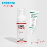 ราคา Dr SOMCHAI Acne Cleanser Acne Spot Touch Gel ดร สมชาย แอคเน่ โฟมล้างหน้า เจลแต้มสิว ราคาพิเศษ (19602064975)