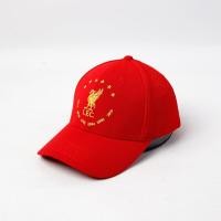 ราคา หมวกฟุตบอล หมวกลิเวอร์พูล ทีมลิเวอร์พูล Liverpool Fc หมวก หมวกแก๊ป หมวกกีฬา หมวกกันแดด หมวกแก๊ปปีกโค้ง Sport Cap Baseball Cap (8233036299)
