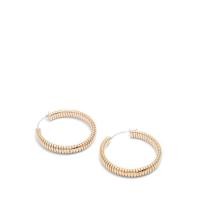 ราคา Aldo รุ่น Elarehan ต่างหูผู้หญิง สีทอง (21571405665)