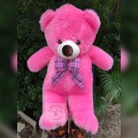 ราคา ตุ๊กตาหมีขนปุยขนนุ่มโบว์สก๊อต ขนาด70cm น่ารักน่ากอด (21469372575)