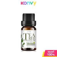 ราคา LITHZ Tea Tree Essential Oil 10ml ไลทซ์ ที ทรี เอสเซนเชียล ออยล์ (21378991653)