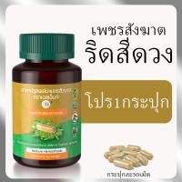 ราคา SN9เพชรสังฆาต ริดสีดวง สมุนไพรเพชรสังฆาต Hemorrhoids กระปุก50เม็ด ริดซี่ดวง แคปซูลเพชรสังฆาต (21353636936)