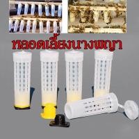 ราคา พร้อมส่ง หลอดเลี้ยงนางพญา หลอดกักนางพญา อุปกรณ์สำหรับเลี้ยงผึ้ง เพาะนางพญา นางพญา เลี้ยงนางพญาผึ้ง จับผึ้ง (18899696866)
