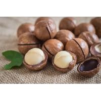 ราคา แมคคาเดเมีย แมคคาเดเมียอบเนย พร้อมทาน อร่อย กรอบ หอม มัน พร้อมส่ง 1888 (21490204228)