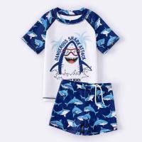 ราคา BABYFINE ชุดว่ายน้ำเด็ก ชุดว่ายน้ําเด็กผู้ชาย ชุดว่ายน้ำฉลามเด็ก ชุดว่ายน้ำเด็กกันแดดแบบแห้งเร็ว ชุดว่ายน้ำแบบแยกส่วน กางเกงว่ายน้ำเด็กผู้ชาย เซ็ตชุดว่ายน้ำ (15425786959)