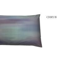 ราคา EXOTICA ปลอกหมอนหนุนผ้า cotton 100 คละลาย ขนาด 19 x 29 นิ้ว (8723040312)