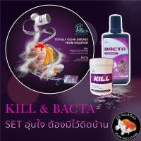 ราคา Bacta Anti Biotic 100mL รักษาอาการติดเชื้อแบคทีเรีย ในปลาสวยงาม ปากบวม ตาโปน ครีบกร่อน ติดเชื้อ กักโรคปลา (21324448460)