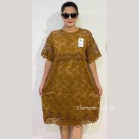 ราคา เข้าใหม่จ้าเดรสลูกไม้หรู เดรสลูกไม้ เดรสสาวอวบ ชุดลูกไม้ใส่ออกงาน เสื้อผ้าคนอ้วน แต่งลูกไม้นิ่ม มีซับในอย่างดี ผ้านิ่ม (20372986705)