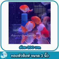 ราคา ปั้มลมสำหรับคนเลี้ยงปลา เพิ่มความสวยงามให้ตู้ปลา (21707945440)