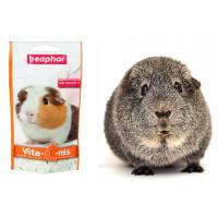 ราคา Beaphar Vita C nis บีฟาร์ วิตามินซี ขนมหรืออาหารเสริมวิตามินซี รสส้ม สำหรับหนูแกสบี้ แบบเม็ด 50g (1115664774)