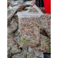 ราคา พร้อมส่ง แมงสะดิ้ง แมงสะดิ้งไข่ 1 kg นึ่งฟรีสแข็ง ไม่ปรุงรส ยังไม่ได้ทอด สด ใหม่ สะอาด ไม่มีกลิ่นเหม็น (12573126286)