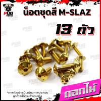 ราคา น็อตชุดสีM SLAZ 1ชุด 13 ตัว น็อตชุดสีเอ็ม สแลช น็อตMSLAZ น็อตเฟรมMSlaz น๊อตMSLAZ น็อตยึดเฟรม น็อสแตนเลส M slaz (16213218594)