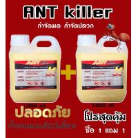 ราคา กำจัดมด กำจัดปลวก ตาย ยก รัง 1 แถม 1 Organic 100 (21547701510)