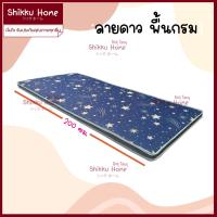 ราคา ที่นอนปิกนิก ใยสังเคราะห์ 2 5นิ้ว ขนาด3ฟุต (21574275412)