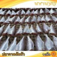 ราคา คละน้ำหนัก มหามงคล ปลาจวดตัดหัว 1แพ็ค ปลาจวด ปลาจวดเค็ม ปลาจวดแดดเดียว ปลาเค็ม ปลาตากแห้ง ปลาแห้ง ของแห้ง อาหารทะเล อาหารทะเลแห้ง อาหารทะเลแปรรูป (21601023524)
