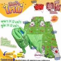 ราคา ที่นอนอนุบาล หนานุ่ม แมว (21382015145)