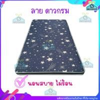 ราคา ที่นอนปิกนิก 2 5นิ้ว ขนาด3ฟุต ใยสังเคราะห์ (21701933778)