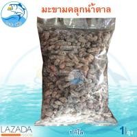 ราคา มะขามคลุกน้ำตาล 1กิโล 1ถุง มะขาม มะขามคลุก มะขามคลุกสามรส มะขามคลุก 3รส มะขามจี๊ดจ๊าด ผลไม้เชื่อม ผลไม้แปรรูป อาหารแปรรูป ขนม ของฝาก (4453168336)