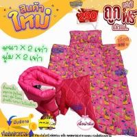 ราคา ที่นอนอนุบาล แบบหนานุ่ม (21382075093)