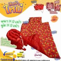 ราคา ที่นอนอนุบาล แบบหนานุ่ม (21382075094)