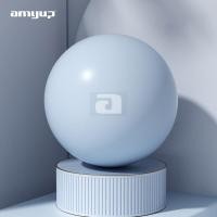 ราคา amyup ลูกบอลโยคะ บอลโยคะ 65CM ลูกบอลโยคะใหญ่ yoga ball (20019253856)