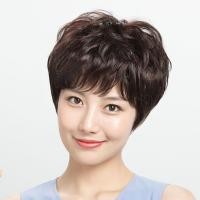 ราคา วิกผมซอยสั้น แบบลอนหยิก ผมปลอม แฟชั่นสําหรับผู้หญิง วิกผมสั้นลอน สำหรับวัยกลางคนและผู้สูงอายุ วิกผมซอย วิกผม ผมปลอม วิกผมสั้น (20001339914)