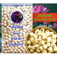ราคา เม็ดบัวอบแห้ง ใหม่ สะอาด เม็ดสวยเต็มเม็ด ปลอดสาร มีหลายขนาดให้เลือก (21591785098)
