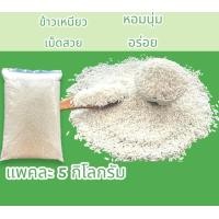 ราคา ข้าวเหนียวเขี้ยวงูคัดพิเศษ ตราดอกบัว ข้าวใหม่ บรรจุ 5 กก หอม นุ่ม อร่อย สะอาด ผลิตจากข้าวชาวนา สำคัญ ลูกค้ากดสั่งสินค้าได้สูงสุด 2 ชิ้น ต่อ 1 ออเดอร์นะคะเนื่องจากสินค้ามีน้ำหนัก (21570184949)