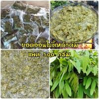 ราคา พร้อมส่ง ผักขี้เหล็กต้ม 500 กรัม เนื้อล้วนไม่มีน้ำ ใบขี้เหล็กต้ม ผักขี้เหล็ก ยอดขี้เหล็กอ่อน แกงใส่ หนังควาย หนังวัว เก็บสดจากต้น รับประกันคุณภาพ (16088625533)