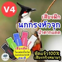 ราคา เสียงนกกรงหัวจุก V 4 ป่าตากแดด เมม แฟลชไดร์ฟเสียงนกกรงหัวจุก มีเก็บเงินปลายทาง เสียงจริง ชัดแจ๋ว100 ไม่มีโฆษณาแทรก MP3 เสียงฝึกนก (10477029075)